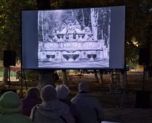 Кинотеатр во дворе  - новая реальность округа №4