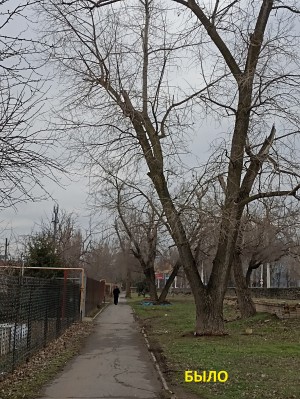 3 округ. Обращения граждан.