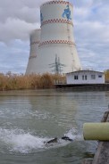 Ростовская АЭС направила на природоохранные мероприятия в 2022 году более 700 миллионов рублей