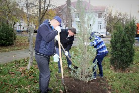 Плюс 25: в сквере Депутатов высадили молодые деревья 