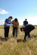 Воздух, почва, растительность: ученые ЮФУ взяли более тысячи проб вблизи Ростовской АЭС