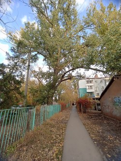 3 округ: Работа с обращениями граждан.