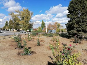 Подарок Волгодонску от «Вектора развития»