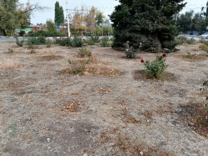 Подарок Волгодонску от «Вектора развития»