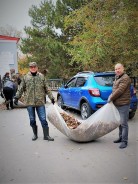 Готовимся к зиме: в Волгодонске завершились осенние субботники