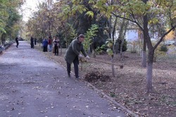 Помощники депутатов и сотрудники аппарата Думы присоединились к общегородскому субботнику