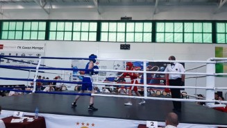 Лучшие боксеры области сразятся в Волгодонске
