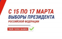 Выборы Президента России: как будут работать избирательные участки в Волгодонске
