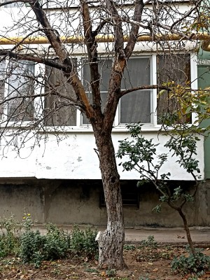 Округ 23 Обращение жителей округа.