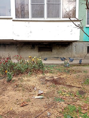 Округ 23 Обращение жителей округа.