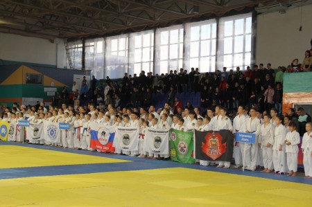 Турнир памяти героя России Михаила Ревенко и День призывника собрали порядка 700 человек