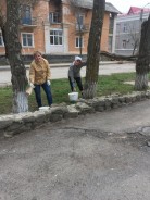 Помощники депутатов побелили деревья в старой части города