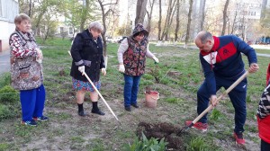 25 округ Весеннее благоустройство