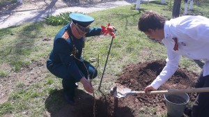 25 оеруг. Акция "Дерево памяти"