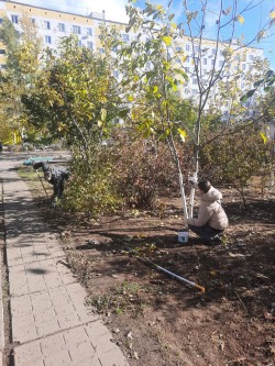 7 округ. Осенний субботник. 