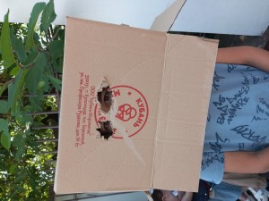 День защиты детей в первом