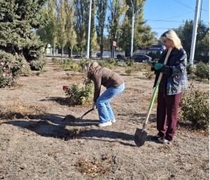 Подарок Волгодонску от «Вектора развития»