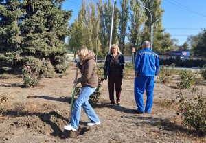 Подарок Волгодонску от «Вектора развития»