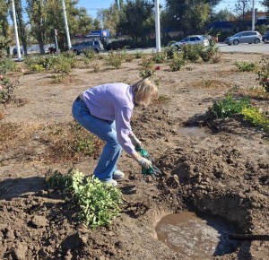 Подарок Волгодонску от «Вектора развития»