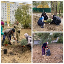 7 округ. Осенний субботник.