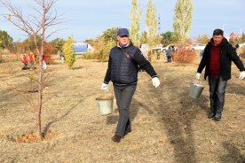 В День древонасаждения в Волгодонске высадили сотни молодых деревьев