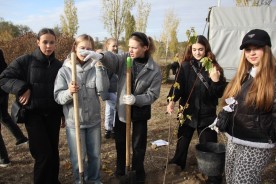 В День древонасаждения в Волгодонске высадили сотни молодых деревьев