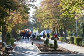 Итоги Дня древонасаждений: в Волгодонске высадили свыше двух тысяч деревьев и кустарников