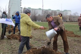 Озеленение квартала В-9: как в Волгодонске прошел День древонасаждения