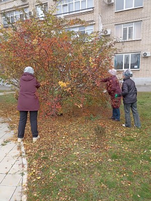 3 округ: "Добрый субботник".