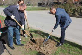 Волгодонские депутаты приняли участие в Дне древонасаждения