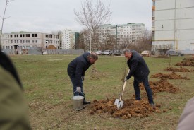 Озеленение квартала В-9: как в Волгодонске прошел День древонасаждения