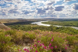 87-летие Ростовской области