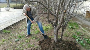 В округе №14 прошел субботник