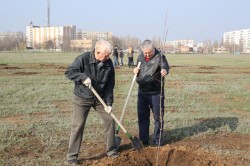 День древонасаждений в Волгодонске закончился посадкой 4,5 тысяч деревьев и кустарников