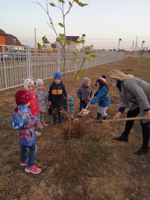 Акция в 10 округе "Подари дерево детскому саду"
