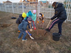 Акция в 10 округе "Подари дерево детскому саду"