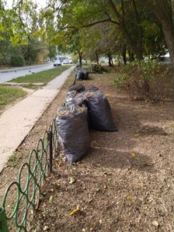 16 округ. По всему округу субботники продолжаются.