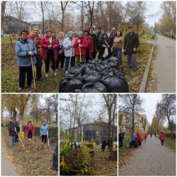 Округ 8: 11ноября в округе проведен еще один субботник!