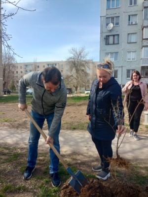 Алексей Брежнев принял участие в акции День древонасаждения
