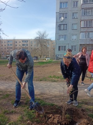 Алексей Брежнев принял участие в акции День древонасаждения