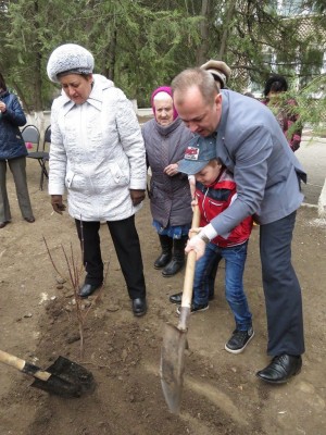 3 округ акция "ДЕРЕВО ПАМЯТИ"