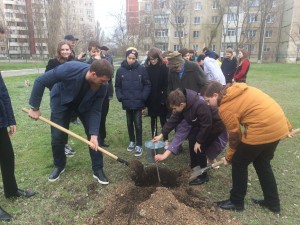 В 21 округе высажены деревья в честь трех ветеранов.