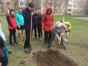 В 21 округе высажены деревья в честь трех ветеранов.