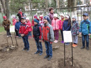 3 округ акция "ДЕРЕВО ПАМЯТИ"