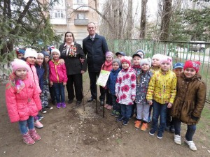 3 округ акция "ДЕРЕВО ПАМЯТИ"