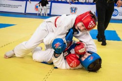 В Волгодонске прошел открытый межрегиональный турнир по рукопашному бою с участием более 370 спортсменов