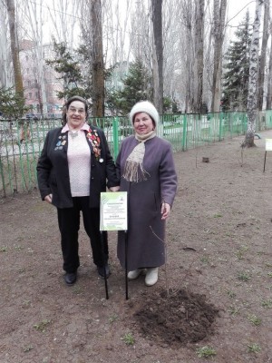 3 округ акция "ДЕРЕВО ПАМЯТИ"