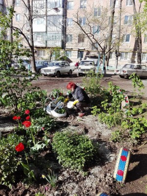 В своем дворе нам все знакомо – наведем порядок вокруг дома!