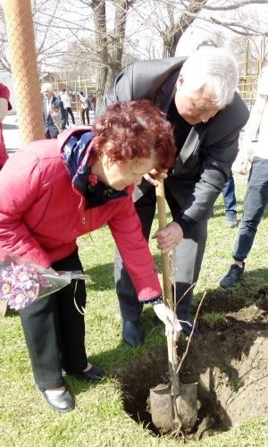 "Дерево памяти" в первом округе