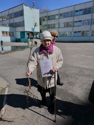                                   Посади Дерево памяти!